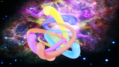 Display many snakes_KL